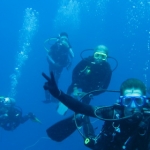 komodo10sept33.jpg
