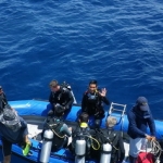 komodo10sept71.jpg