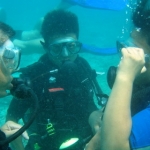 learntodive37.jpg