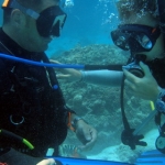 learntodive44.jpg