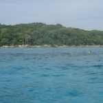 lab09similan06.jpg