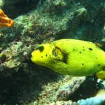 lab09similan11.jpg