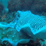 lab09similan32.jpg