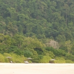 labburma08feb20.jpg