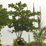 labburma08feb22.jpg
