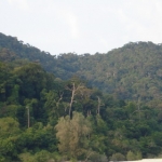 tarutao07apr006.jpg