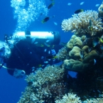 palau12apr009.jpg