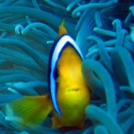 palau12apr012.jpg