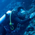 palau12apr020.jpg