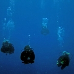 palau12apr018.jpg