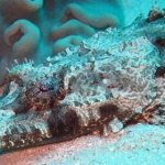 palau12apr021.jpg