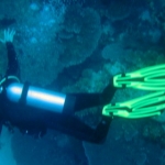 palau12apr029.jpg