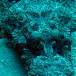 palau12apr035.jpg