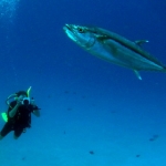 palau12apr037.jpg