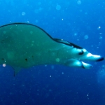 palau12apr053.jpg