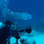palau12apr055.jpg