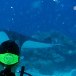 palau12apr054.jpg