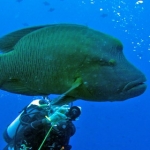 2012 Palau