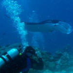 palau12apr056.jpg