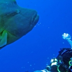 palau12apr079.jpg