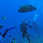palau12apr096.jpg