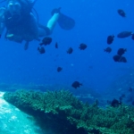 losinkra12july11.jpg
