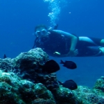 losinkra12july15.jpg