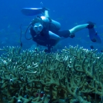 losinkra12july19.jpg