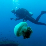losinkra12july26.jpg