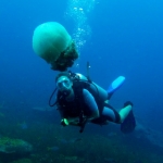 losinkra12july27.jpg