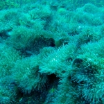 losinkra12july23.jpg