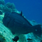 losinkra12july37.jpg