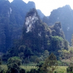 suratthani05.jpg