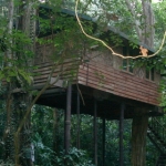 suratthani25.jpg