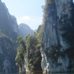 Overnight Rainforest Tour
