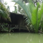 suratthani38.jpg