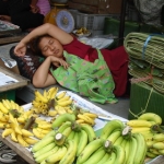 suratthani39.jpg