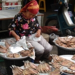 suratthani40.jpg