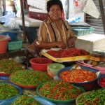 suratthani41.jpg
