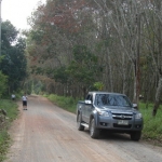 suratthani42.jpg