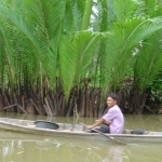 suratthani44.jpg