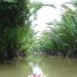 suratthani45.jpg