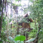suratthani49.jpg