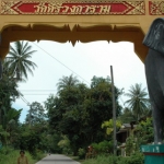 samuivirgincoast01.jpg