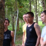 samuivirgincoast16.jpg