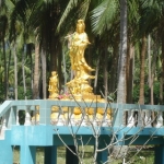 samuivirgincoast22.jpg