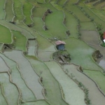 luzon14march22.jpg