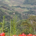 luzon14march33.jpg