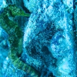 Similan15Feb 16.jpg