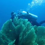 Similan15Feb 24.jpg